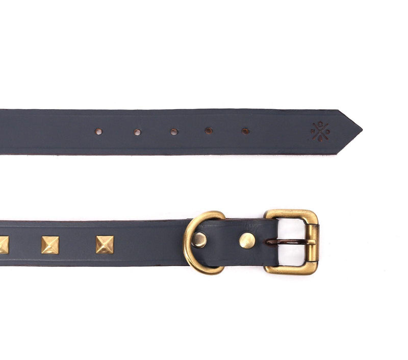 buy dog collar leather online
