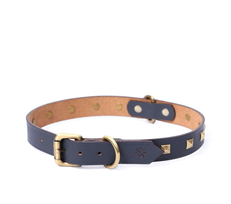 dog collar leather online