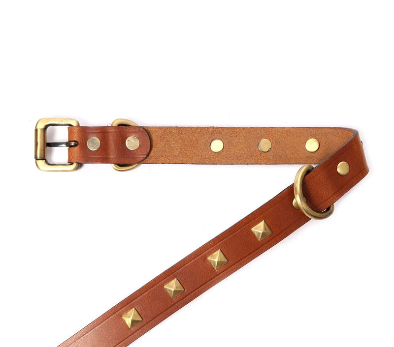 best dog collar leather