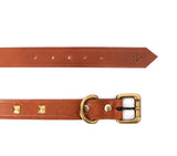 best dog collar leather online