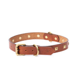 online dog collar leather