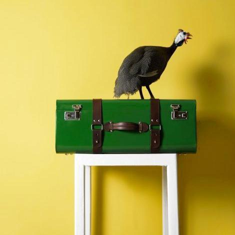 buy storage trunk