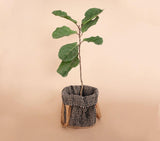 Jute Planter Bag Online