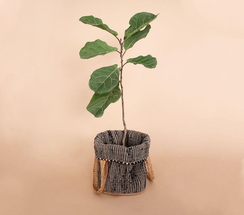 Jute Planter Bag Online