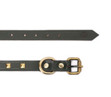 dog collar belt