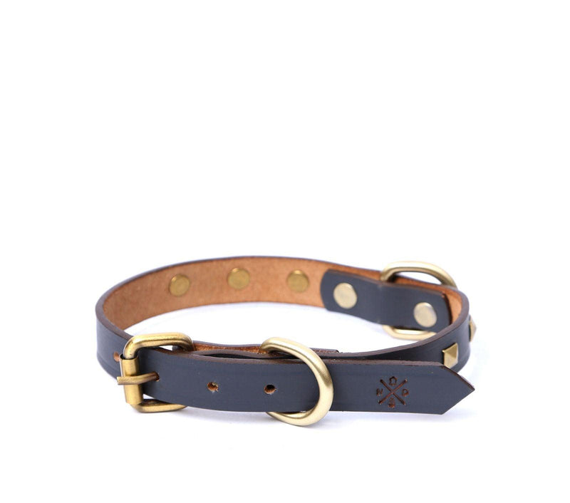 belt collar