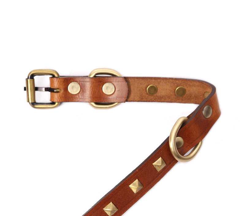 dog collar belt with name