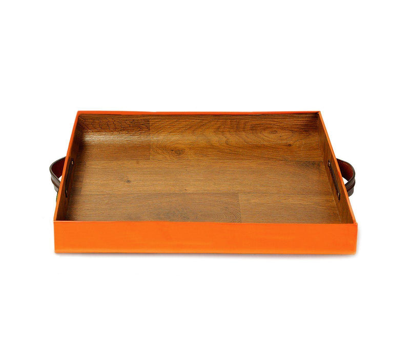 premium tray with handles